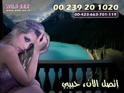 Wild Sex TV